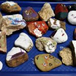 Images of pet rocks