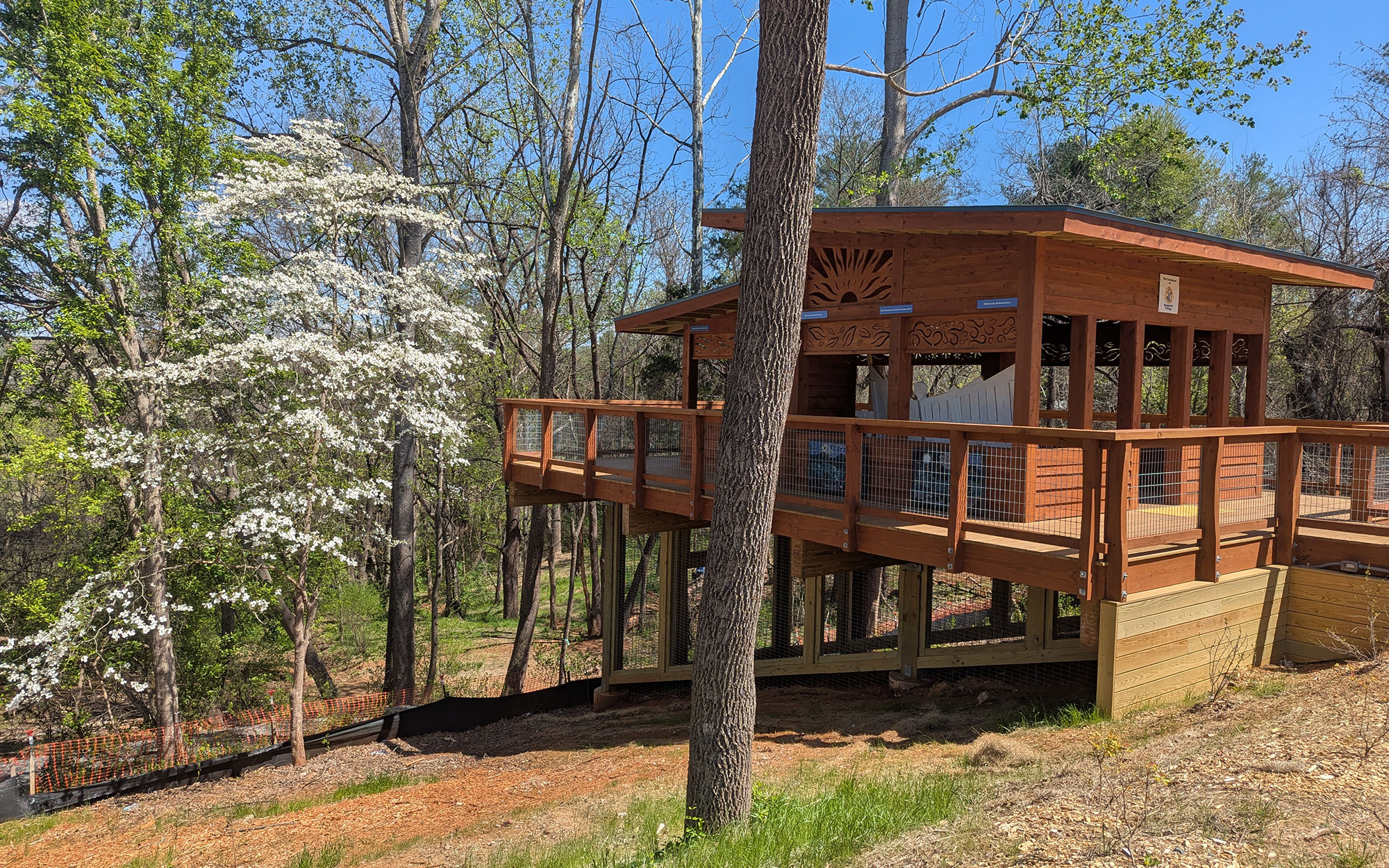 The Accessible Treehouse next to a flowering dogwood tree