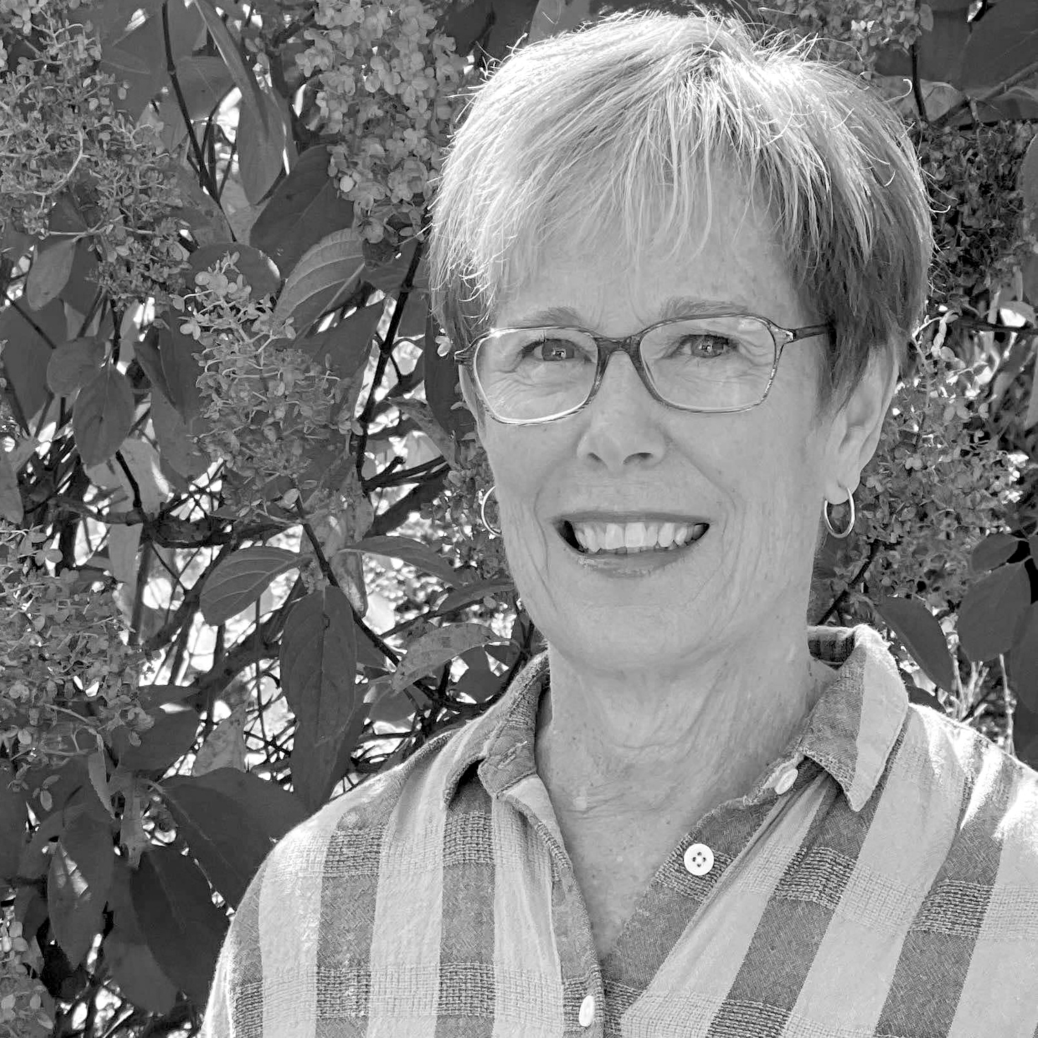 Gail Fehlner<br />
